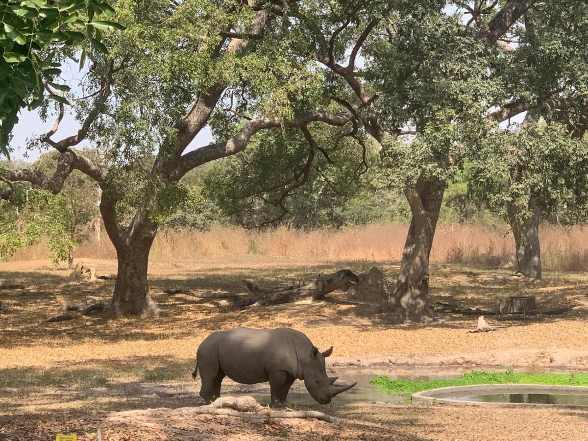 Pombo Kunda Villa Sanyang Bagian luar foto