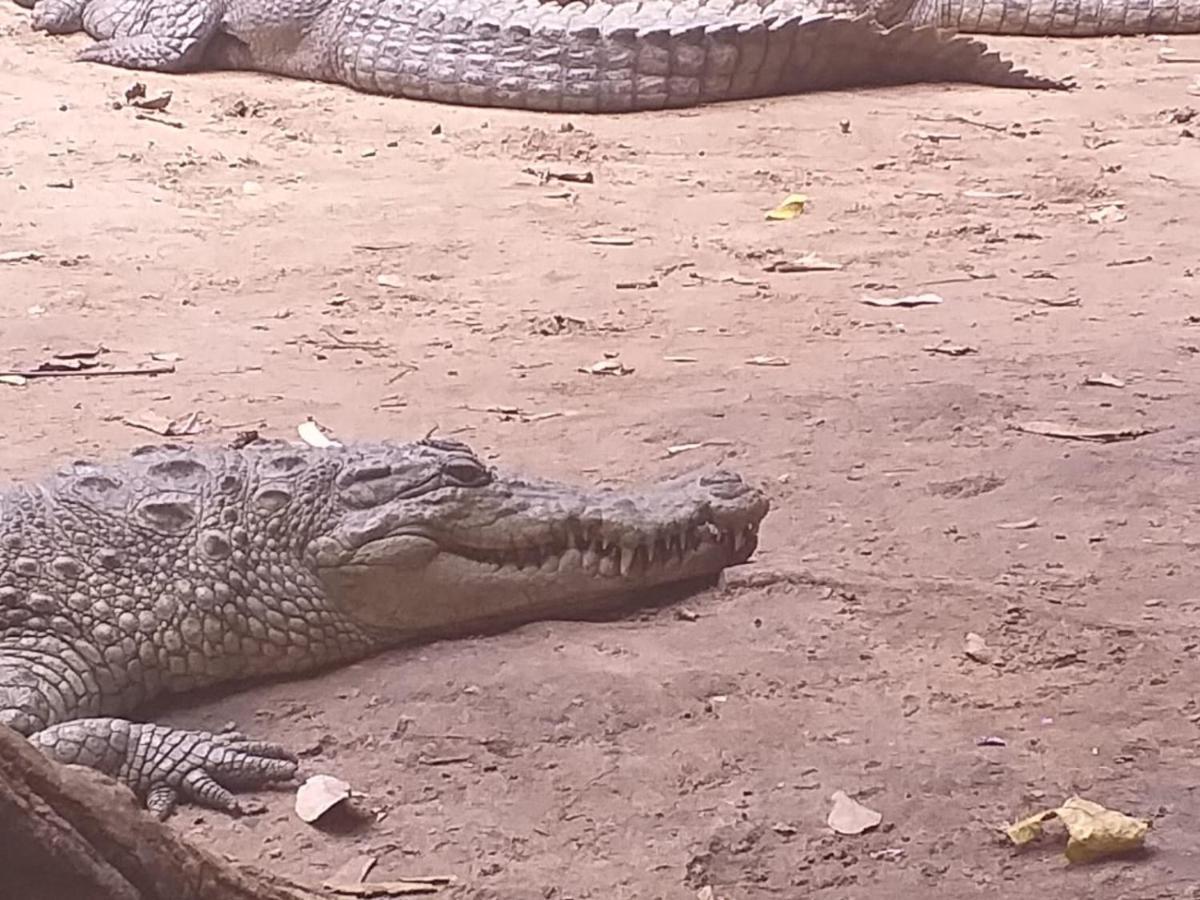 Pombo Kunda Villa Sanyang Bagian luar foto