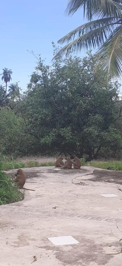 Pombo Kunda Villa Sanyang Bagian luar foto