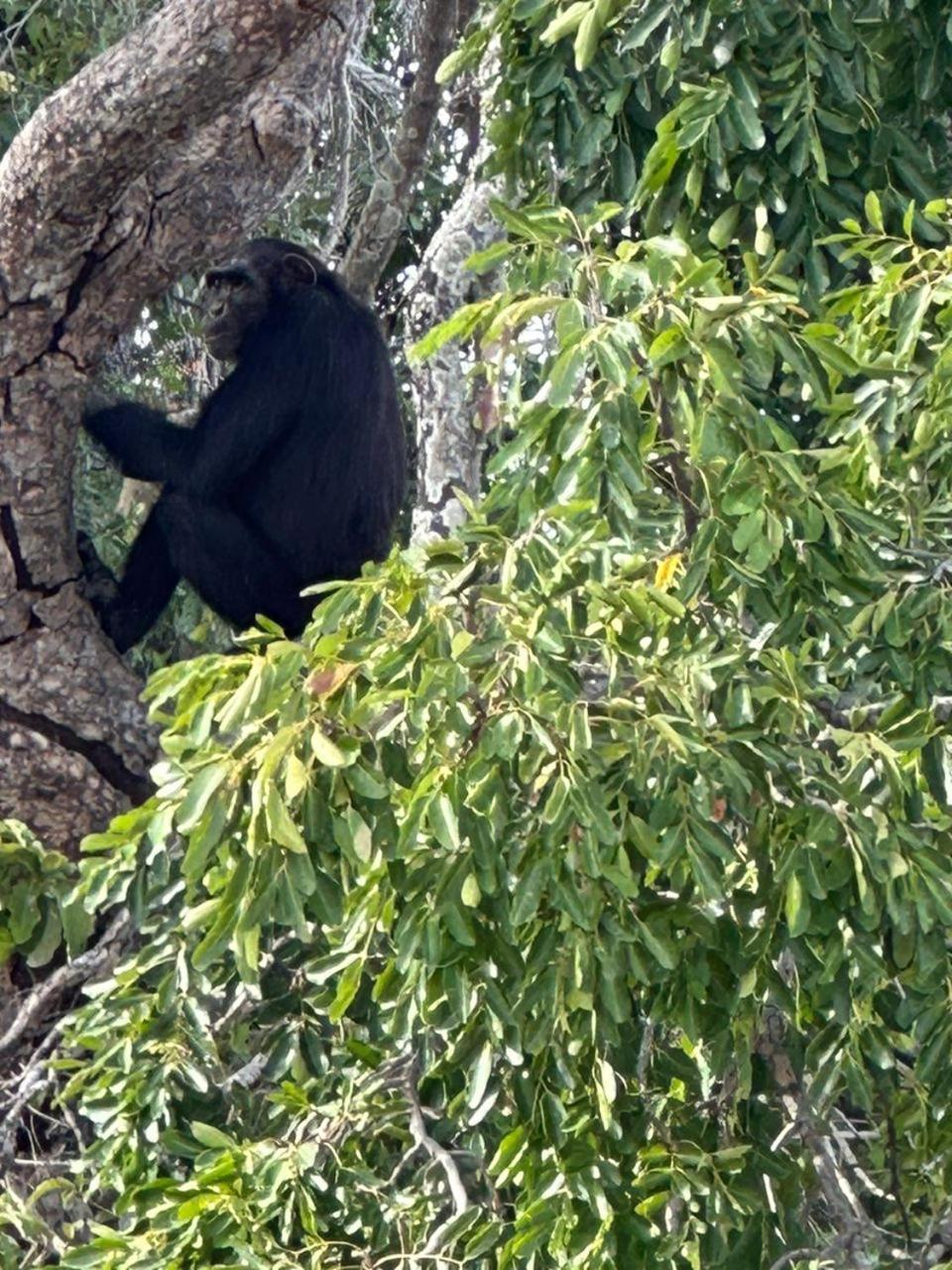 Pombo Kunda Villa Sanyang Bagian luar foto